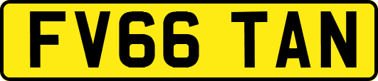 FV66TAN