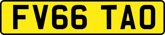 FV66TAO