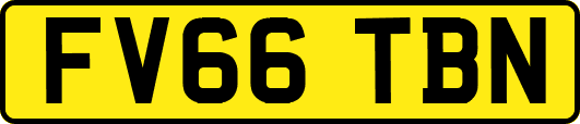 FV66TBN