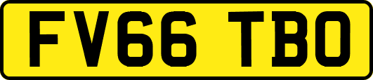 FV66TBO
