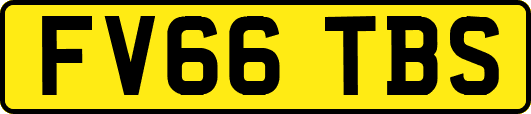 FV66TBS