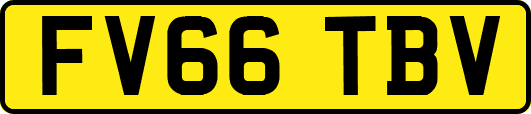FV66TBV
