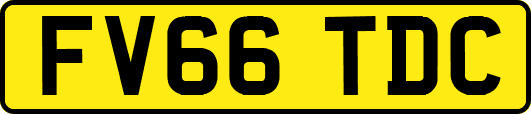 FV66TDC