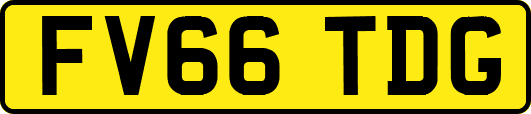 FV66TDG