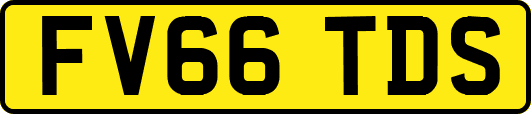 FV66TDS