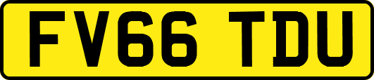 FV66TDU