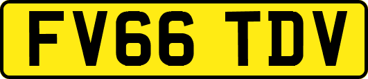 FV66TDV