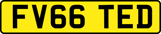 FV66TED