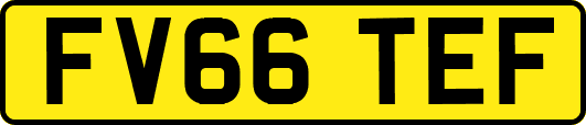 FV66TEF