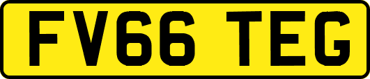 FV66TEG