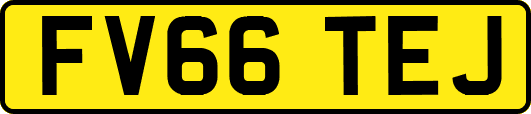 FV66TEJ