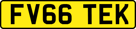 FV66TEK