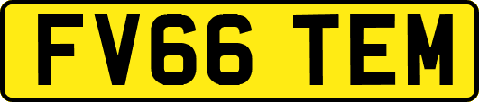 FV66TEM