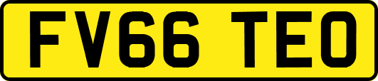 FV66TEO