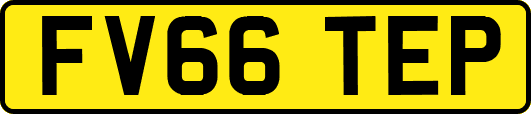 FV66TEP