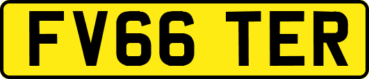 FV66TER