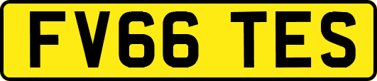 FV66TES