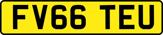 FV66TEU