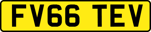 FV66TEV