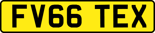 FV66TEX