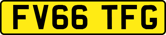 FV66TFG