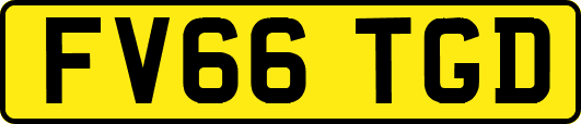 FV66TGD