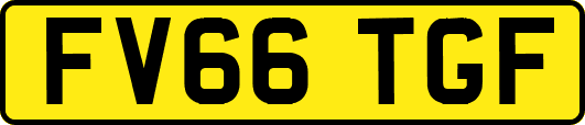 FV66TGF