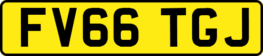 FV66TGJ