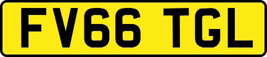 FV66TGL
