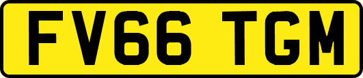 FV66TGM