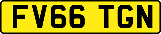 FV66TGN