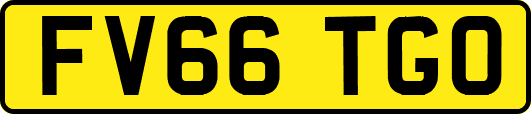 FV66TGO
