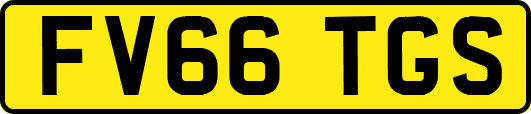 FV66TGS