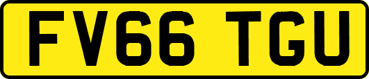FV66TGU