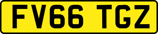 FV66TGZ