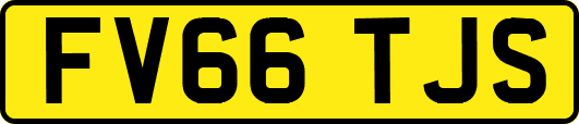 FV66TJS