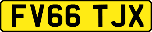 FV66TJX