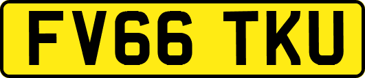 FV66TKU