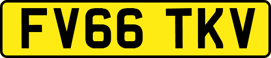 FV66TKV