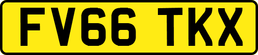 FV66TKX