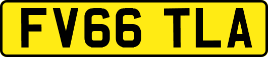 FV66TLA