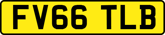 FV66TLB