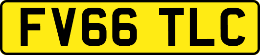 FV66TLC