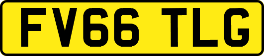 FV66TLG