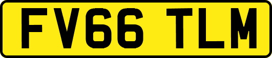 FV66TLM