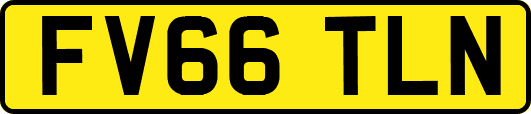 FV66TLN