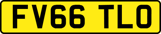 FV66TLO