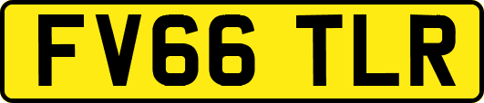 FV66TLR