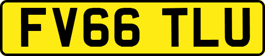 FV66TLU