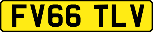 FV66TLV